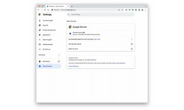 Google Chrome Dev for Windows - Download it from Habererciyes for free